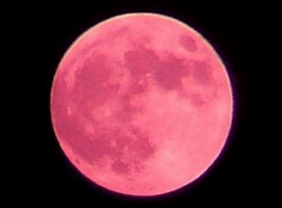 Strawberry Moon Newport RI Newport Buzz