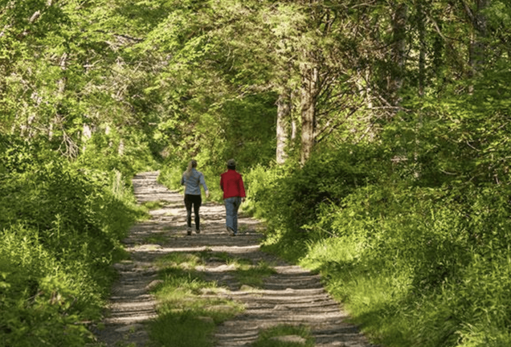 Rhode Island House Approves Legislation to Preserve Public Access Paths and Trails - Vimarsana News