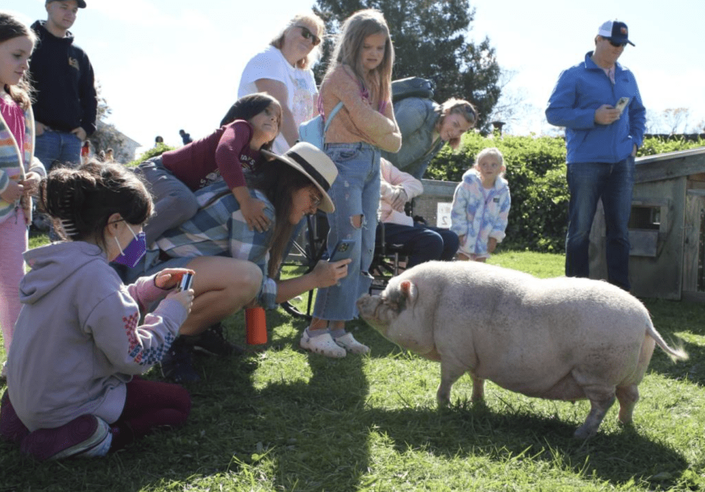 West Place Animal Sanctuary to Host Spring Visitors Weekend - Vimarsana News