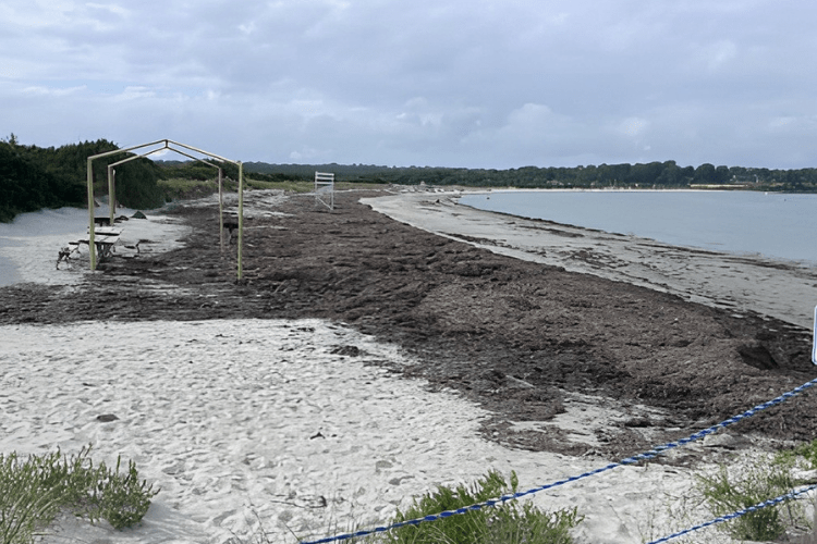 RIDOH Orders Closures at Third Beach and Peabody’s, Re-Opens Bailey’s Beach for Swimming