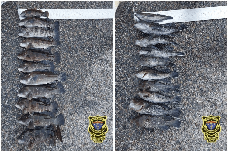 REEL DUMMIES: Three Massachusetts Men Busted With With Massive Haul of Illegal Fish in Newport