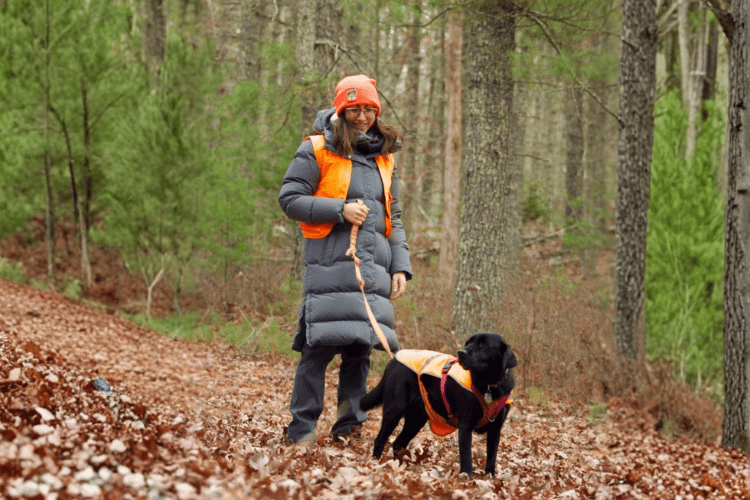 Rhode Island Reminds Public To Wear Blaze Orange As Shotgun Deer Season Begins