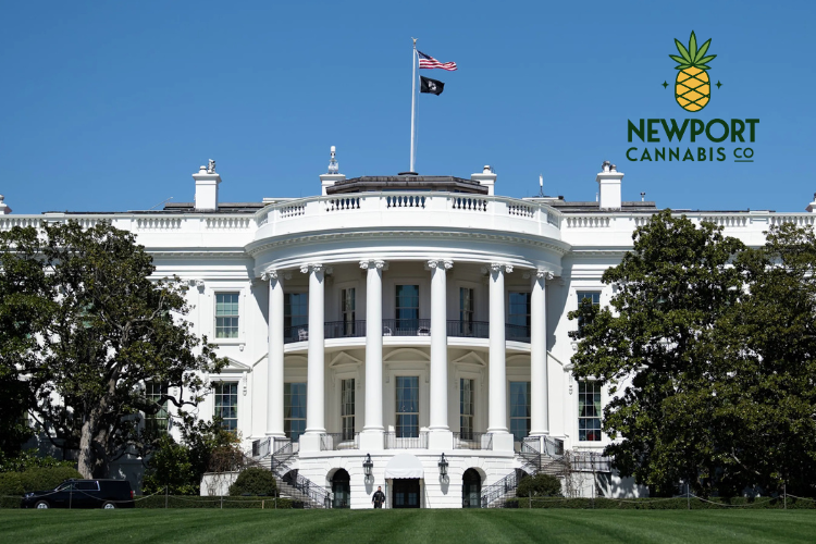 Green Light from D.C.: Trump’s Executive Order Advances Cannabis Rescheduling, a Promising Shift for Rhode Islanders