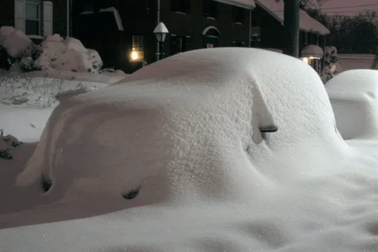 Parking Bans Announced  as Newport County Braces for Heavy Snowfall