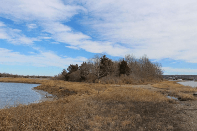 Portsmouth’s Gull Cove Protected as DEM Secures 70 Acres of Coastal Habitat