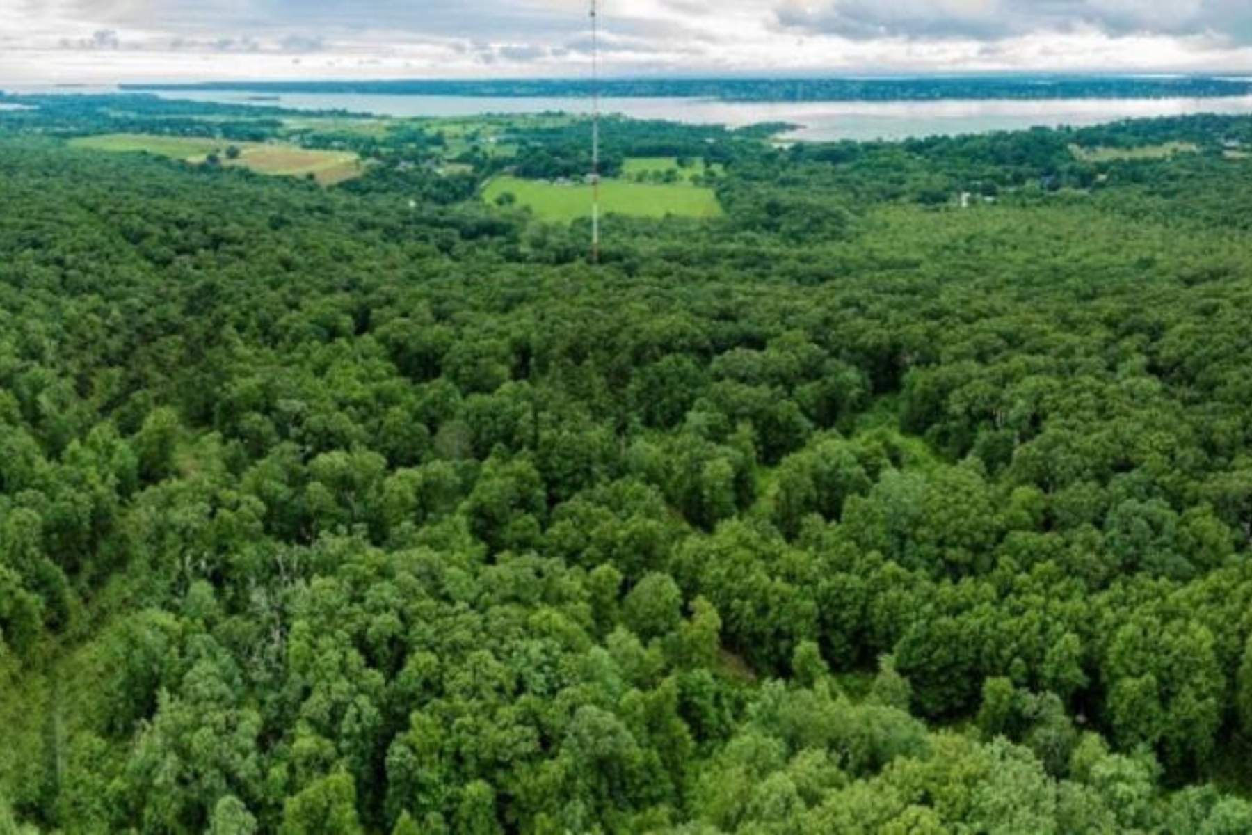 27 Acres of Tiverton Forestland Permanently Protected